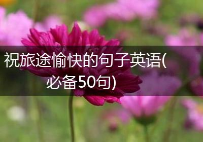祝旅途愉快的句子英语(必备50句)