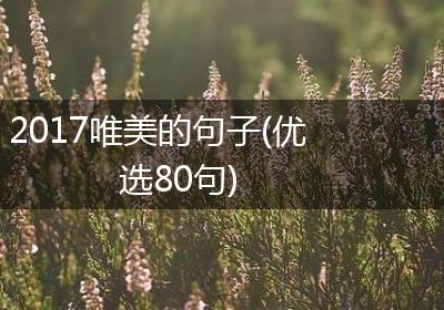 2017唯美的句子(优选80句)