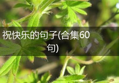 祝快乐的句子(合集60句)