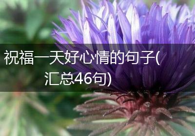 祝福一天好心情的句子(汇总46句)