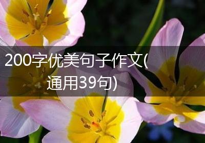 200字优美句子作文(通用39句)