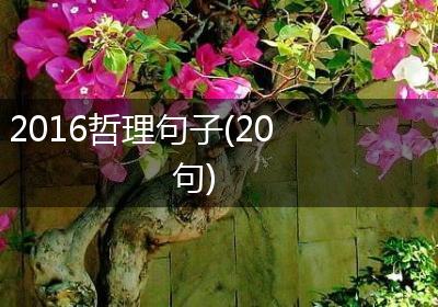 2016哲理句子(20句)