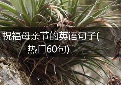 祝福母亲节的英语句子(热门60句)