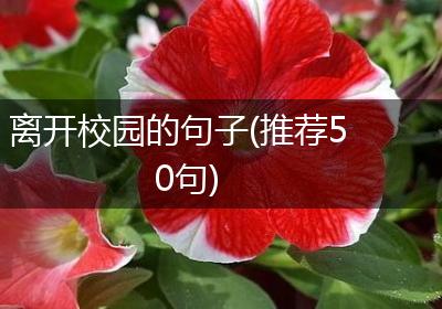 离开校园的句子(推荐50句)