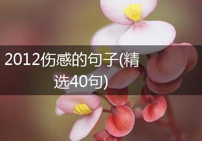 2012伤感的句子(精选40句)