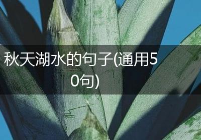 秋天湖水的句子(通用50句)