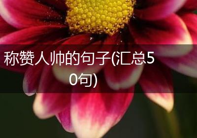 称赞人帅的句子(汇总50句)