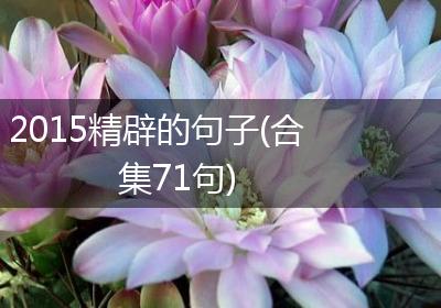 2015精辟的句子(合集71句)