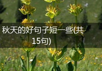 秋天的好句子短一些(共15句)