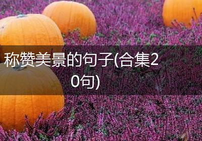 称赞美景的句子(合集20句)