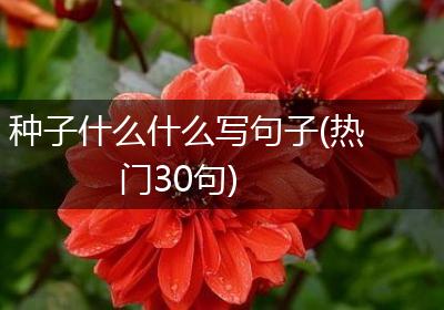 种子什么什么写句子(热门30句)