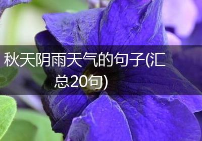 秋天阴雨天气的句子(汇总20句)