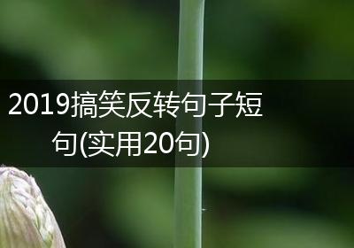 2019搞笑反转句子短句(实用20句)