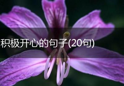 积极开心的句子(20句)