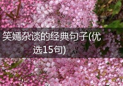 笑嫣杂谈的经典句子(优选15句)