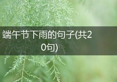 端午节下雨的句子(共20句)