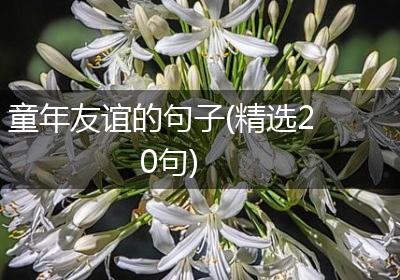 童年友谊的句子(精选20句)