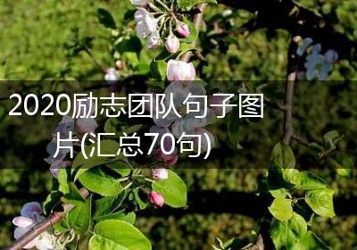 2020励志团队句子图片(汇总70句)