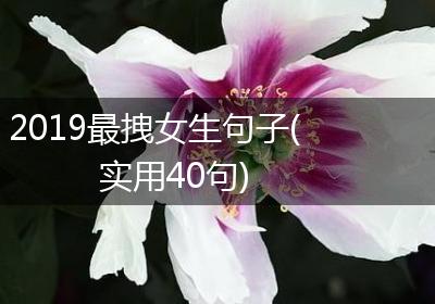 2019最拽女生句子(实用40句)