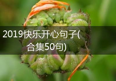 2019快乐开心句子(合集50句)