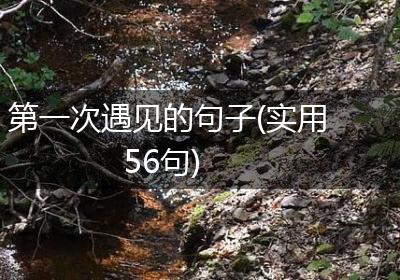第一次遇见的句子(实用56句)