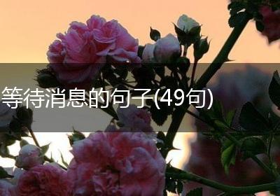 等待消息的句子(49句)