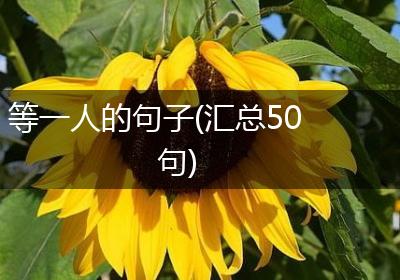 等一人的句子(汇总50句)