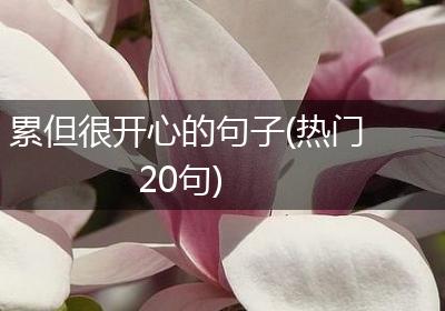 累但很开心的句子(热门20句)