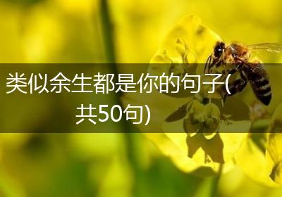 类似余生都是你的句子(共50句)