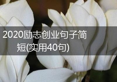 2020励志创业句子简短(实用40句)