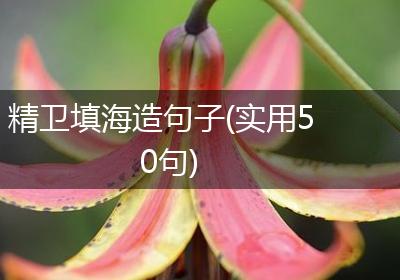 精卫填海造句子(实用50句)