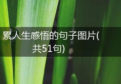 累人生感悟的句子图片(共51句)