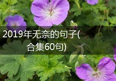 2019年无奈的句子(合集60句)