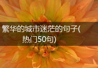 繁华的城市迷茫的句子(热门50句)