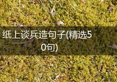 纸上谈兵造句子(精选50句)