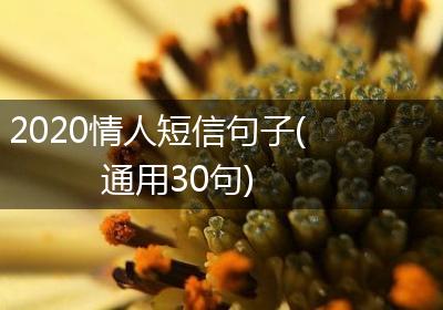 2020情人短信句子(通用30句)