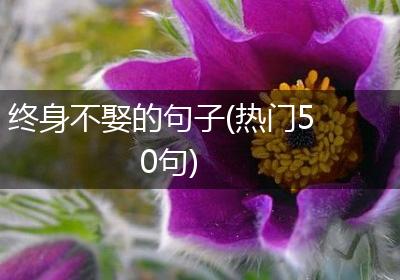 终身不娶的句子(热门50句)