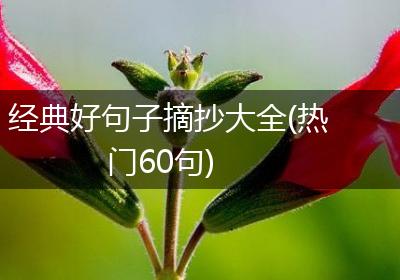 经典好句子摘抄大全(热门60句)