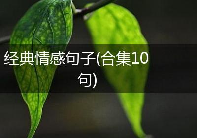 经典情感句子(合集10句)
