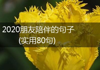 2020朋友陪伴的句子(实用80句)