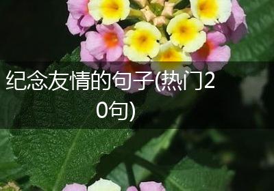 纪念友情的句子(热门20句)