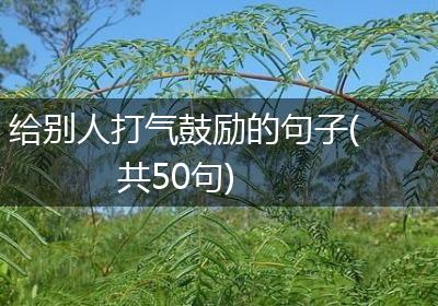 给别人打气鼓励的句子(共50句)