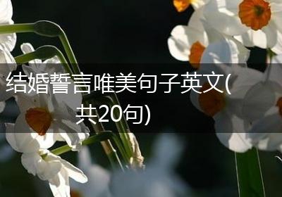 结婚誓言唯美句子英文(共20句)