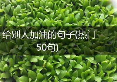 给别人加油的句子(热门50句)