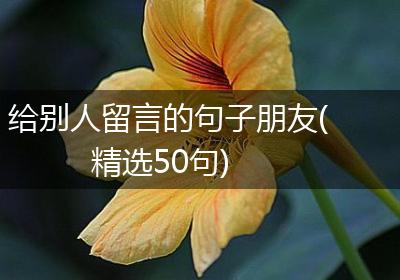 给别人留言的句子朋友(精选50句)