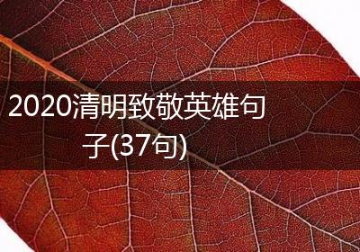 2020清明致敬英雄句子(37句)