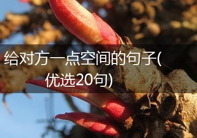 给对方一点空间的句子(优选20句)