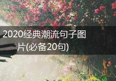 2020经典潮流句子图片(必备20句)