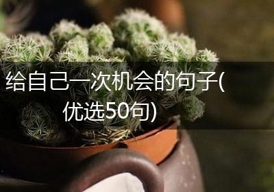 给自己一次机会的句子(优选50句)