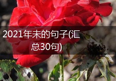 2021年未的句子(汇总30句)